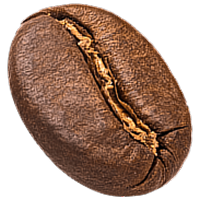 coffe bean illustration