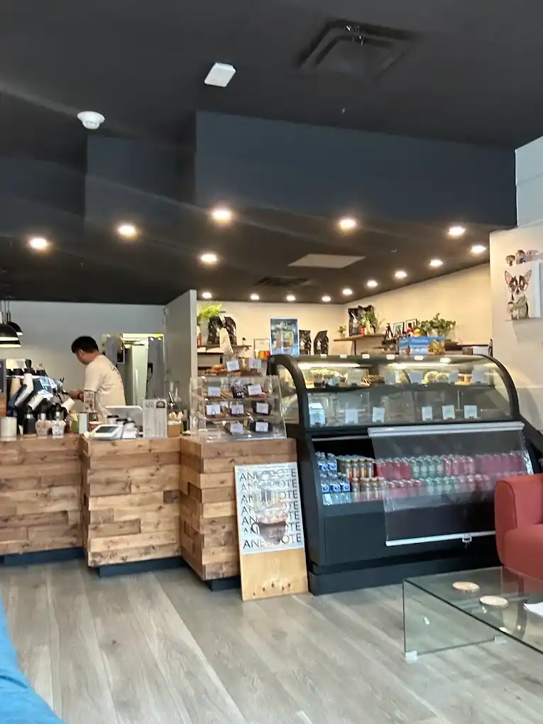 Café Anecdote counter image